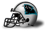 Panthers Helmet